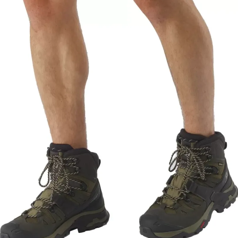 Footwear^Salomon Outlet – Quest 4 Gtx Backpacking Boot – Men'S Kelp/Wren/Bleached Sand|Magnet/Black/Quarry|Olive Night/Peat/Safari