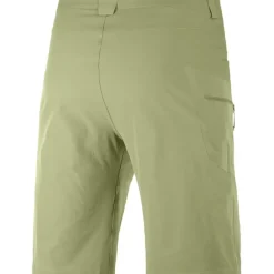 Clothing^Salomon Outlet – Wayfarer Short – Men'S Martini Olive