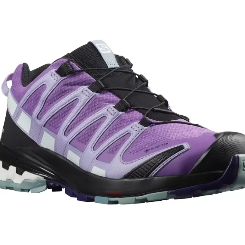 Footwear^Salomon Outlet – Xa Pro 3D V8 Gtx Shoe – Women'S Balsam Green/Green Gables/Pastel Turquoise|Royal Lilac/Lavender/Slate