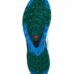 Footwear^Salomon Outlet – Xa Pro 3D V8 Shoe – Men'S Grape Leaf/Peat/Shadow|Slate/Blue Aster/Pacific